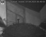 Capi_Dubne_20250407_054003.jpg