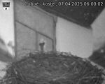 Capi_Dubne_20250407_060002.jpg