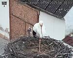 Capi_Dubne_20250407_063003.jpg