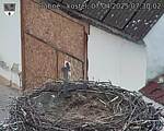Capi_Dubne_20250407_073002.jpg