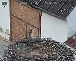 Capi_Dubne_20250407_073502.jpg