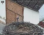 Capi_Dubne_20250407_075502.jpg