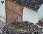 Capi_Dubne_20250407_082502.jpg