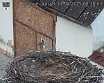Capi_Dubne_20250407_083003.jpg