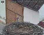 Capi_Dubne_20250407_083504.jpg