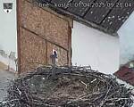 Capi_Dubne_20250407_092004.jpg