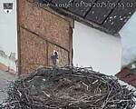 Capi_Dubne_20250407_095502.jpg