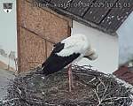 Capi_Dubne_20250407_101503.jpg