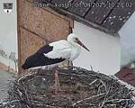 Capi_Dubne_20250407_102002.jpg