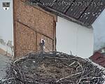 Capi_Dubne_20250407_102504.jpg