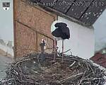 Capi_Dubne_20250407_103002.jpg