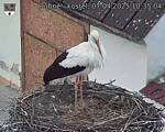 Capi_Dubne_20250407_103504.jpg