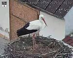 Capi_Dubne_20250407_104002.jpg