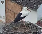 Capi_Dubne_20250407_105004.jpg
