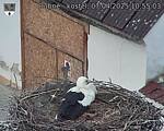Capi_Dubne_20250407_105503.jpg