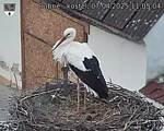 Capi_Dubne_20250407_110504.jpg