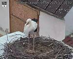 Capi_Dubne_20250407_111002.jpg