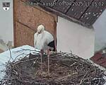 Capi_Dubne_20250407_111502.jpg
