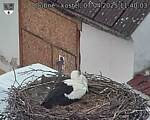 Capi_Dubne_20250407_114003.jpg