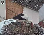 Capi_Dubne_20250407_114502.jpg