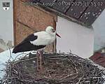 Capi_Dubne_20250407_115502.jpg
