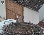 Capi_Dubne_20250407_120003.jpg
