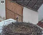 Capi_Dubne_20250407_121002.jpg