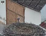 Capi_Dubne_20250407_122503.jpg