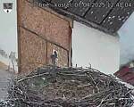 Capi_Dubne_20250407_124004.jpg