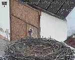 Capi_Dubne_20250407_125004.jpg
