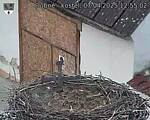 Capi_Dubne_20250407_125502.jpg
