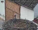 Capi_Dubne_20250407_131003.jpg