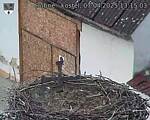 Capi_Dubne_20250407_131503.jpg