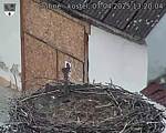 Capi_Dubne_20250407_132004.jpg