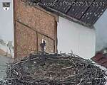 Capi_Dubne_20250407_132502.jpg