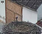 Capi_Dubne_20250407_133504.jpg