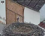 Capi_Dubne_20250407_134504.jpg