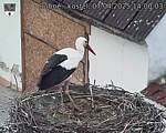Capi_Dubne_20250407_140003.jpg