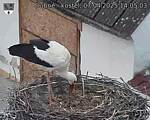Capi_Dubne_20250407_140503.jpg