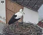 Capi_Dubne_20250407_141003.jpg