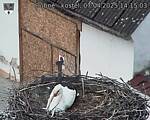 Capi_Dubne_20250407_141503.jpg