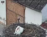 Capi_Dubne_20250407_142003.jpg