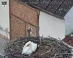 Capi_Dubne_20250407_142502.jpg
