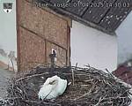 Capi_Dubne_20250407_143003.jpg