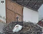 Capi_Dubne_20250407_143502.jpg