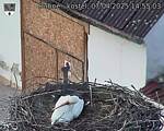 Capi_Dubne_20250407_145503.jpg