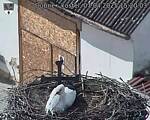 Capi_Dubne_20250407_152003.jpg