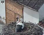 Capi_Dubne_20250407_153003.jpg