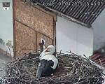 Capi_Dubne_20250407_154003.jpg