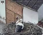 Capi_Dubne_20250407_155003.jpg